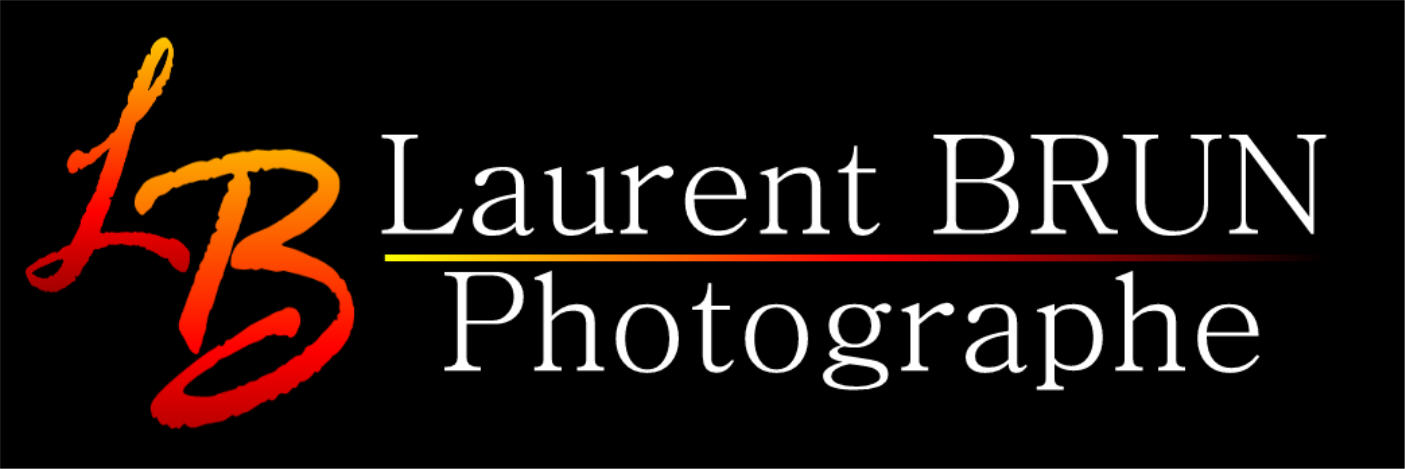 Laurent BRUN Photographe de Mariages