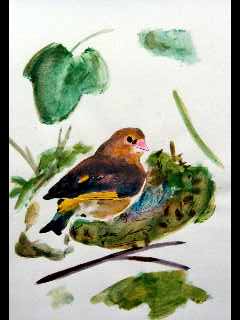 tableaux et peintures animalières d'un verdier d'europe